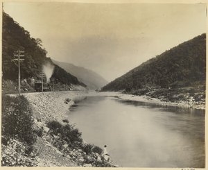 Sang Hollow de Dornach de William H. Rau