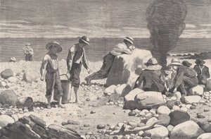 Bocetos junto al mar - Una parrillada de almejas Harper