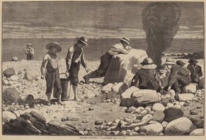 Bocetos en la Playa - Una Horneada de Almejas