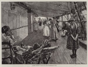 Vida en el mar en un transatlántico australiano