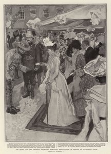 La Reina y los Hospitales de la Yeomanry Imperial, Presentación de Medallas en Devonshire House