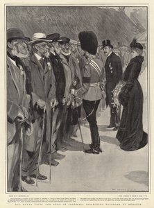 El tour real, el Duque de Cornwall inspeccionando veteranos en Dunedin de William Hatherell