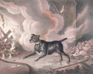 El perro del bombero de Londres de William Heath