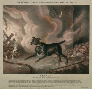 El perro del bombero de Londres