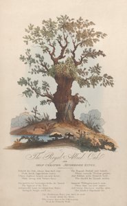El Roble Aliado Real y los Reyes de Hongos Autocreado de William Heath