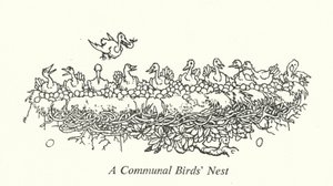 Un nido comunal de aves de William Heath Robinson