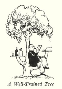 Un árbol bien entrenado (litografía) de William Heath Robinson