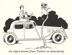 Una lección objetiva de la naturaleza sobre la domesticidad (litografía)