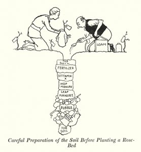 Preparación cuidadosa del suelo antes de plantar un rosal de William Heath Robinson
