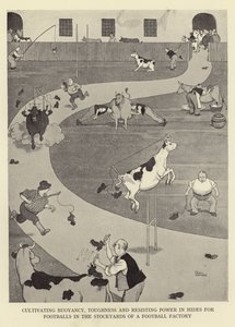 Cultivando flotabilidad, dureza y resistencia en pieles para balones de fútbol en los corrales de una fábrica de balones de William Heath Robinson