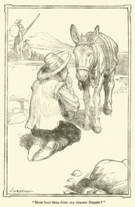 Ilustración para Don Quijote