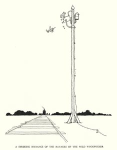Ilustración para Railway Ribaldry de W Heath Robinson
