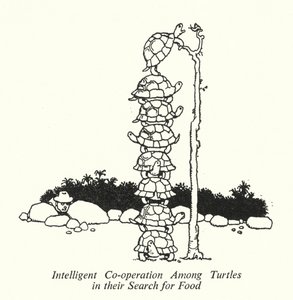 Cooperación Inteligente entre Tortugas en su Búsqueda de Alimento de William Heath Robinson