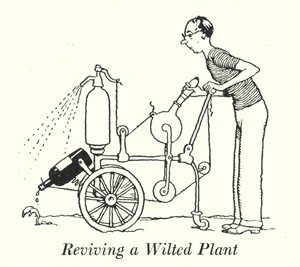 Revivir una Planta Marchita