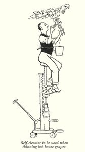 Elevador automático para usar al adelgazar uvas de invernadero de William Heath Robinson