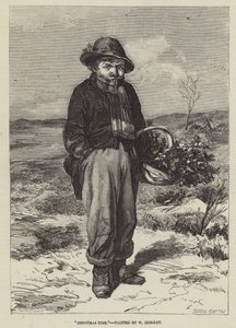 Época de Navidad