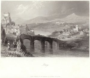 Bray en el condado de Wicklow de William Henry Bartlett