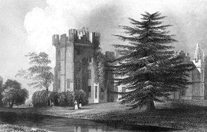 Faulkbourn Hall, cerca de Whitham, Essex, grabado por Henry Wallis, 1832 de William Henry Bartlett