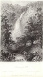 Cascada Powerscourt en el río Dargle de William Henry Bartlett