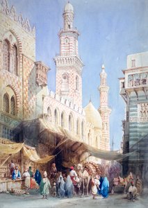 La Sharia El Gohargiyeh, El Cairo, siglo XIX de William Henry Bartlett