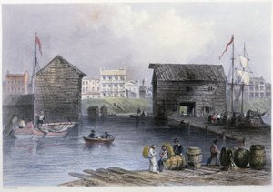 Vista de los muelles de Toronto - en "Canadian scenery illustrated" de Bartlett W. H. de William Henry Bartlett