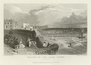 Walton en el Naze, Essex, Vista Sur de William Henry Bartlett