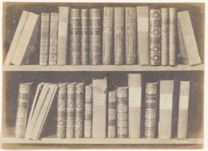 Una escena en una biblioteca, lámina VIII del Lápiz de la naturaleza