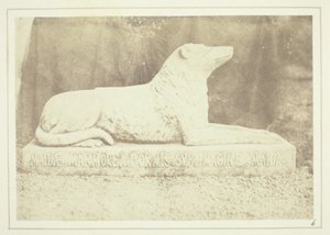 Efigie de Maida, la perra favorita de Sir W. Scott, junto a la puerta del vestíbulo de Abbotsford. de William Henry Fox Talbot