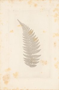 [Lejos] de William Henry Fox Talbot