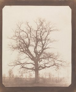  de William Henry Fox Talbot