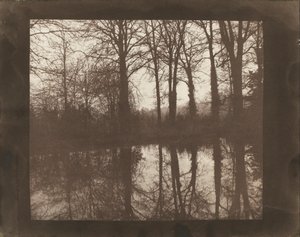 Árboles y reflejos de William Henry Fox Talbot