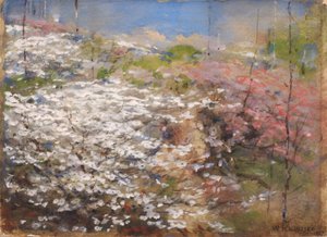 Campo de flores de William Henry Holmes