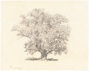 Un árbol con hojas completas de William Henry Hunt