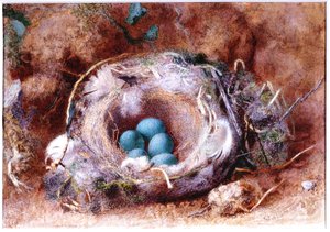 Nido de Pájaros de William Henry Hunt