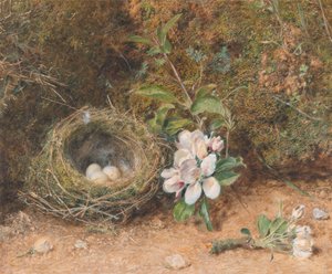 Nido de pájaros con flores de manzano