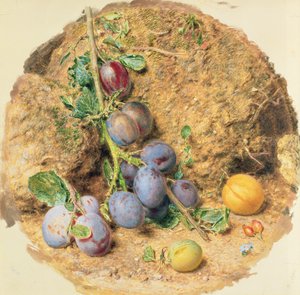 Ciruelas de William Henry Hunt