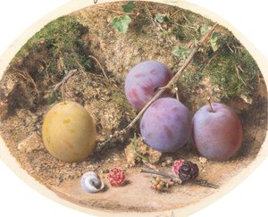 Ciruelas y moras
