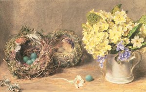 Flores de primavera y nidos de pájaros, c.1830 (acuarela y acuarela sobre papel) de William Henry Hunt