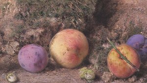 Naturaleza Muerta