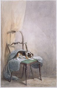 Estudio de un perro en una silla de William Henry Hunt