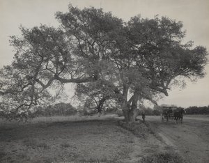  de William Henry Jackson