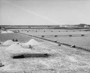 Salinas y cubas de refinación, México, c.1880-97 de William Henry Jackson