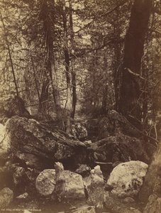 El sendero en el Cañón West Gallatin, c. 1870s de William Henry Jackson