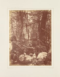 El sendero en el bosque, Cañón Gallatin de William Henry Jackson