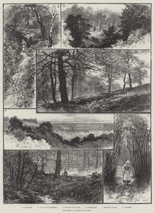 Bocetos en los bosques de Highgate de William Henry James Boot
