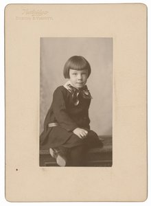 Natt Noyes Dodge, hacia 1904 (foto) de William Henry Partridge