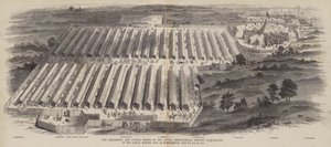 Las exposiciones de implementos y ganado de la Sociedad Real de Agricultura de Inglaterra, en la reunión anual celebrada en Northampton, 20, 21, 22 de julio de 1847 de William Henry Pike