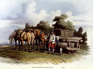 Rodillo de césped, de 