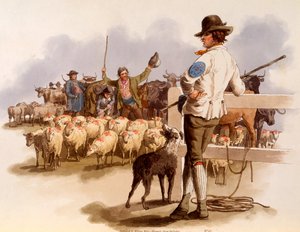Drover de Smithfield, de 