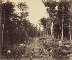 Ganoga Lake Branch,c. 1895 (foto) de William Herman Rau